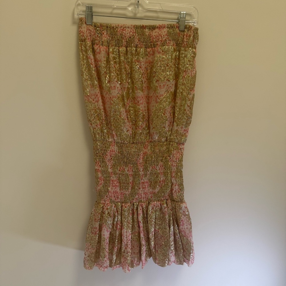 Muche & Muchette Strapless Chiffon and Metalic Dress